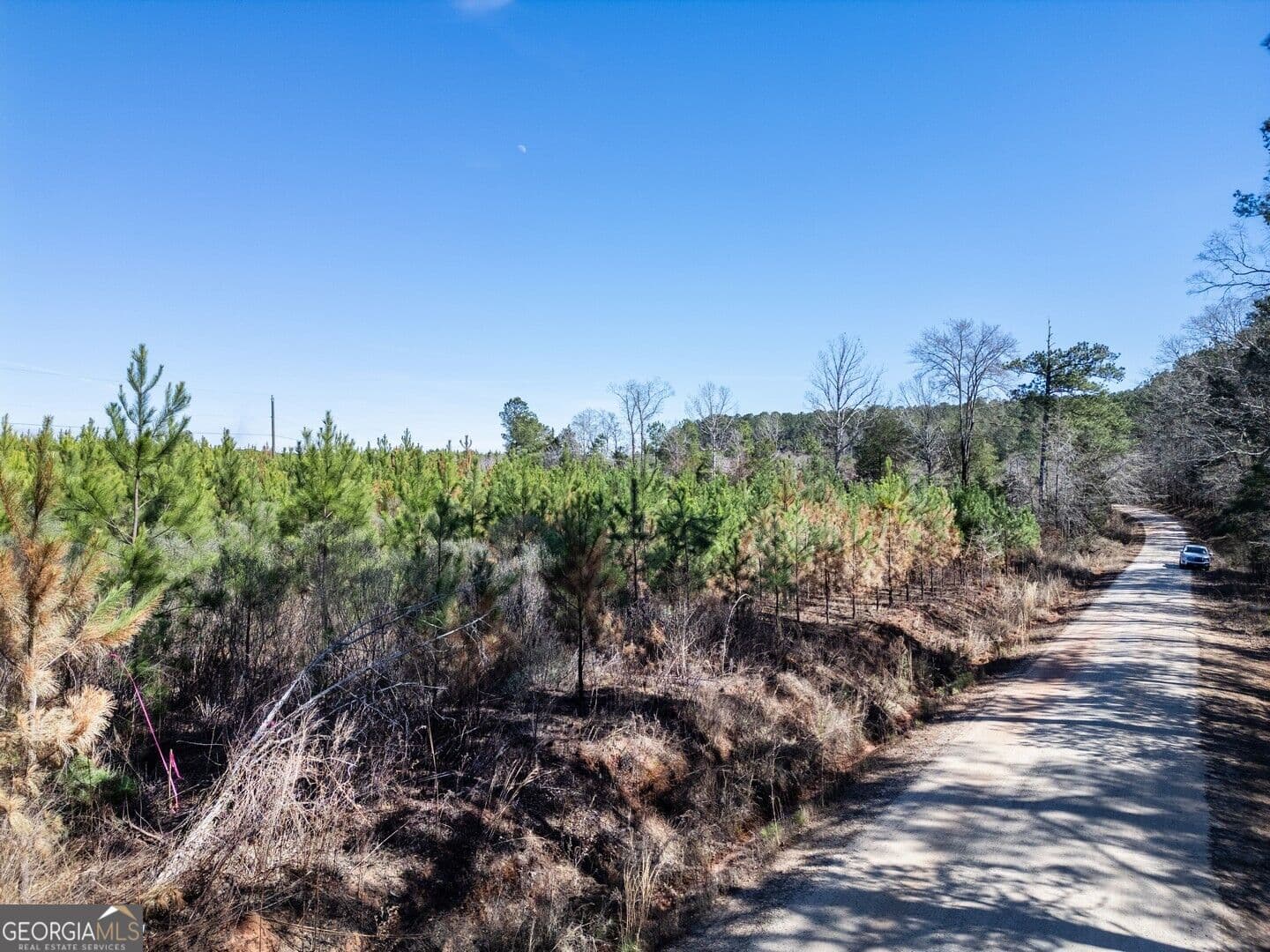 agriculture for sale at 0 Cook Road TRACT #14, Monticello, GA 31064 — photo 8
