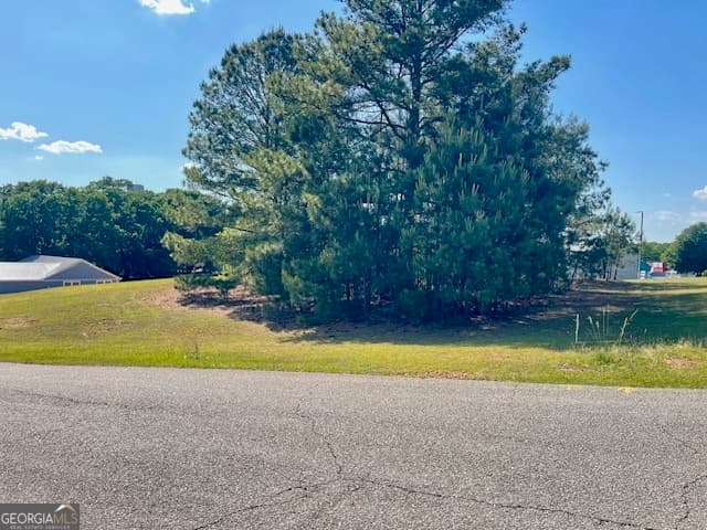residential lot for sale at 317 Smith Street, Royston, GA 30662 — photo 2