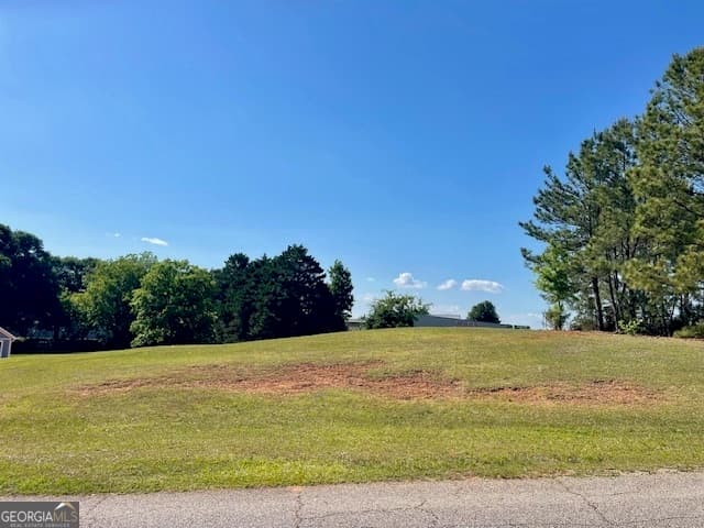 residential lot for sale at 317 Smith Street, Royston, GA 30662 — photo 3