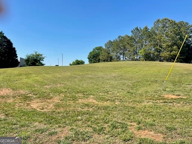 residential lot for sale at 317 Smith Street, Royston, GA 30662 — photo 5