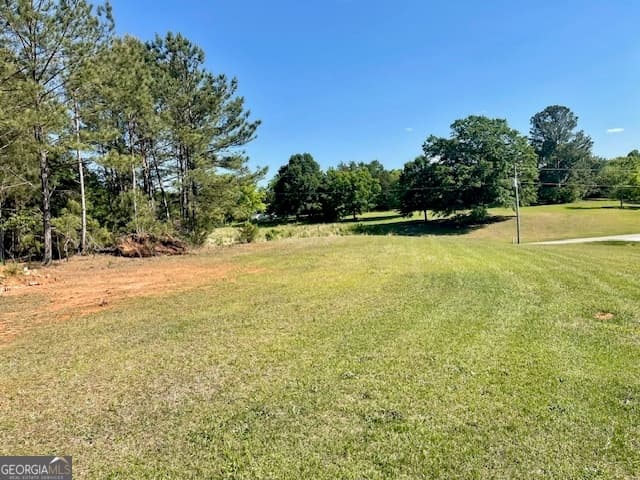 residential lot for sale at 317 Smith Street, Royston, GA 30662 — photo 9