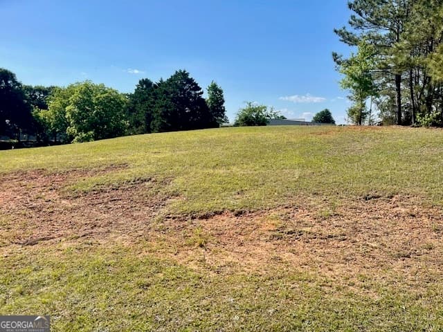 residential lot for sale at 317 Smith Street, Royston, GA 30662 — photo 10