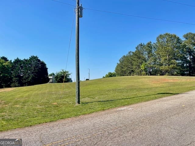 residential lot for sale at 317 Smith Street, Royston, GA 30662 — photo 4