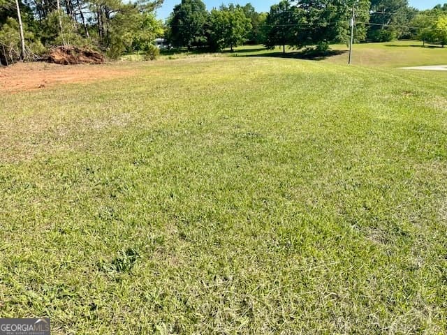 residential lot for sale at 317 Smith Street, Royston, GA 30662 — photo 8