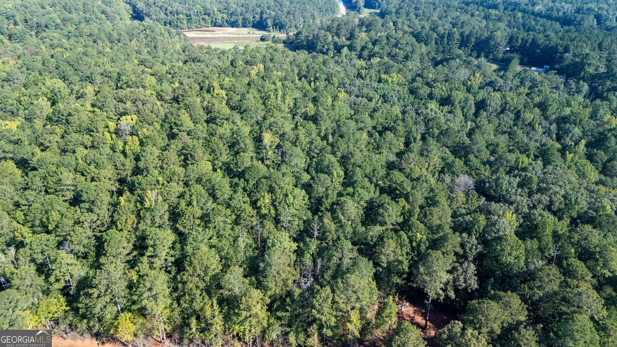 residential lot for sale at 1221 US Hwy 27, Franklin, GA 30217 — photo 2