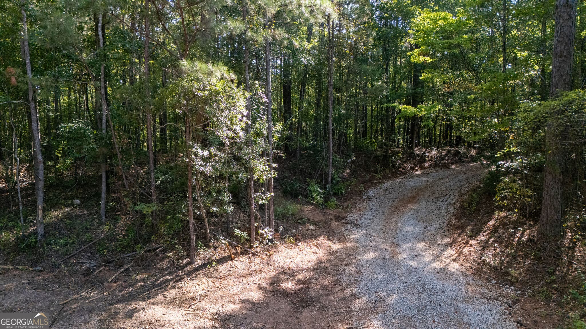 residential lot for sale at 1221 US Hwy 27, Franklin, GA 30217 — photo 1 of 26