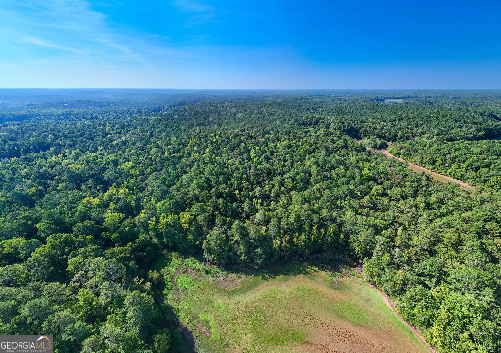residential lot for sale at 1221 US Hwy 27, Franklin, GA 30217 — photo 5