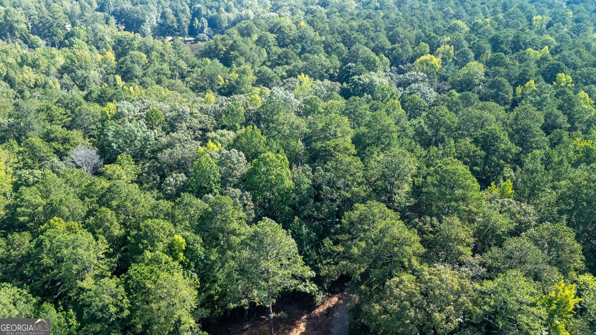 residential lot for sale at 1221 US Hwy 27, Franklin, GA 30217 — photo 9