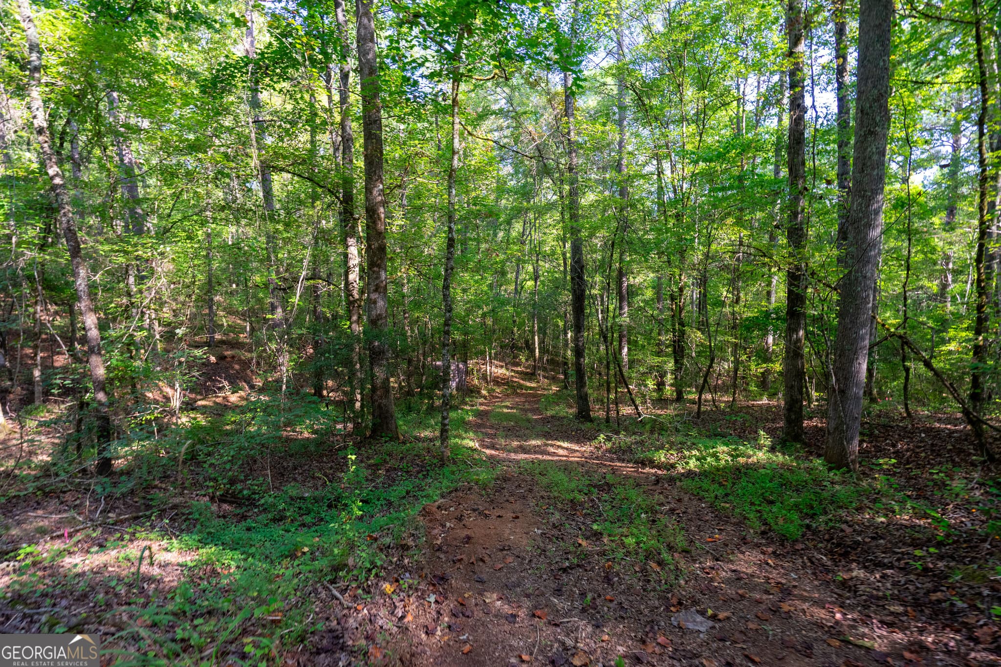 residential lot for sale at 1221 US Hwy 27, Franklin, GA 30217 — photo 10