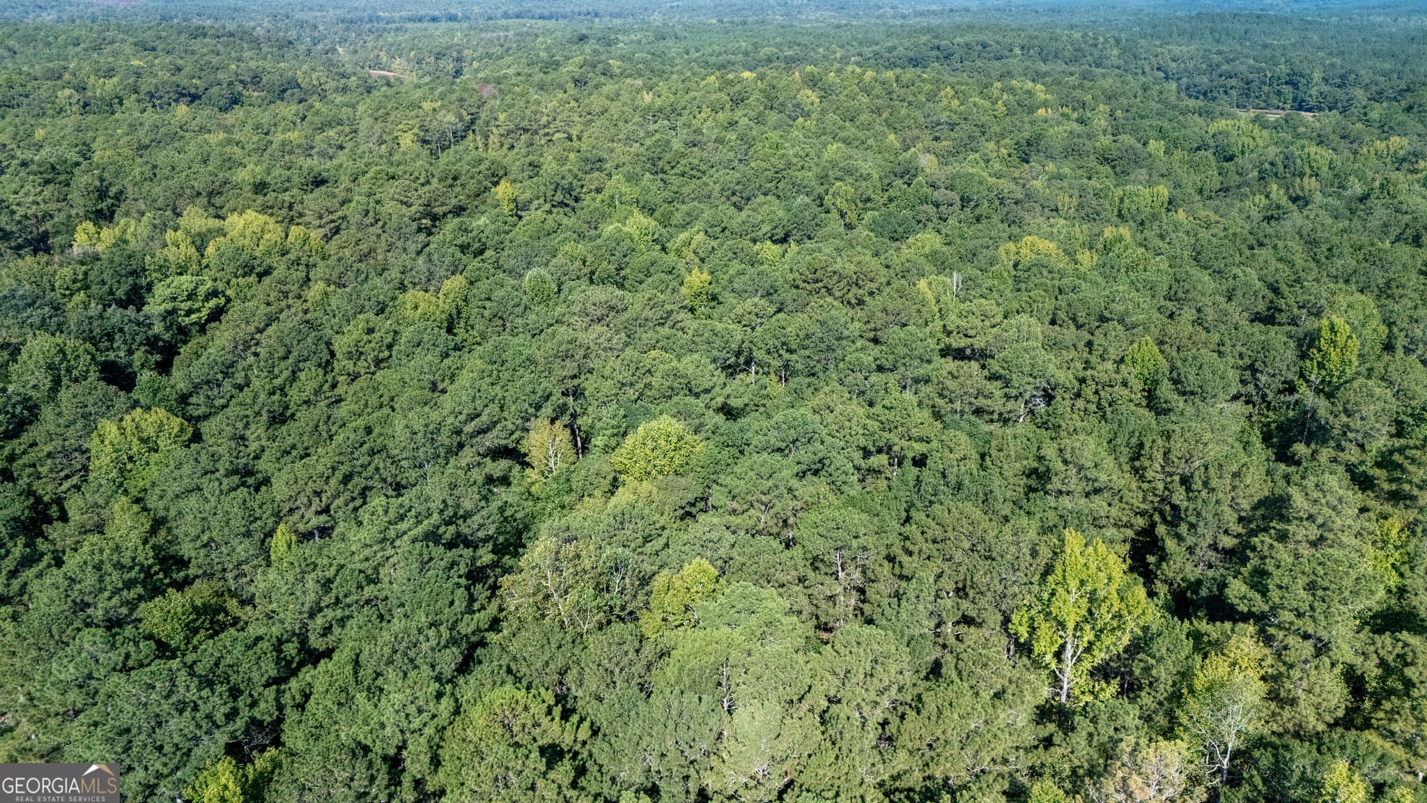 residential lot for sale at 1221 US Hwy 27, Franklin, GA 30217 — photo 8