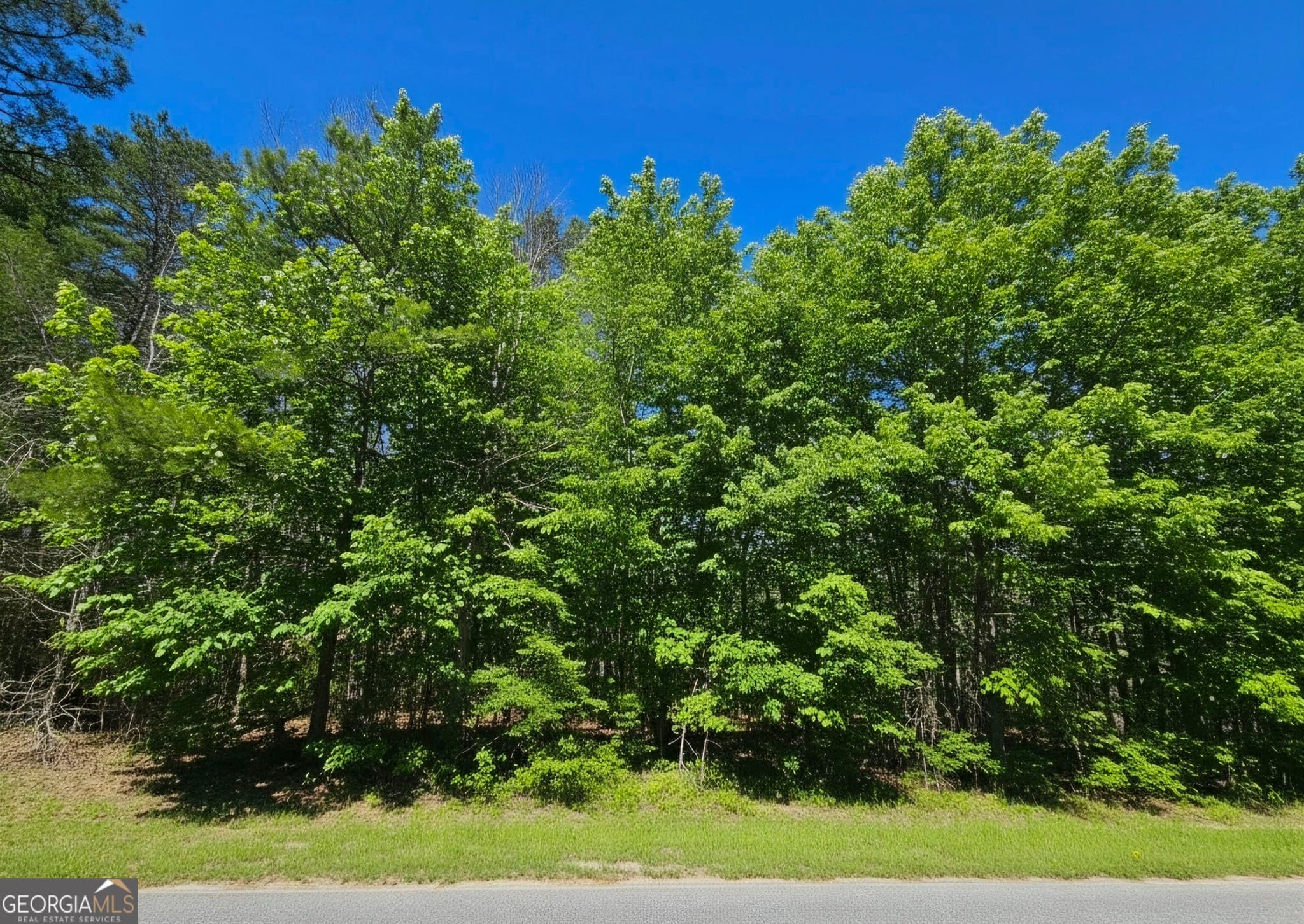 residential lot for sale at 0 River Shoals Court, Covington, GA 30016 — photo 2