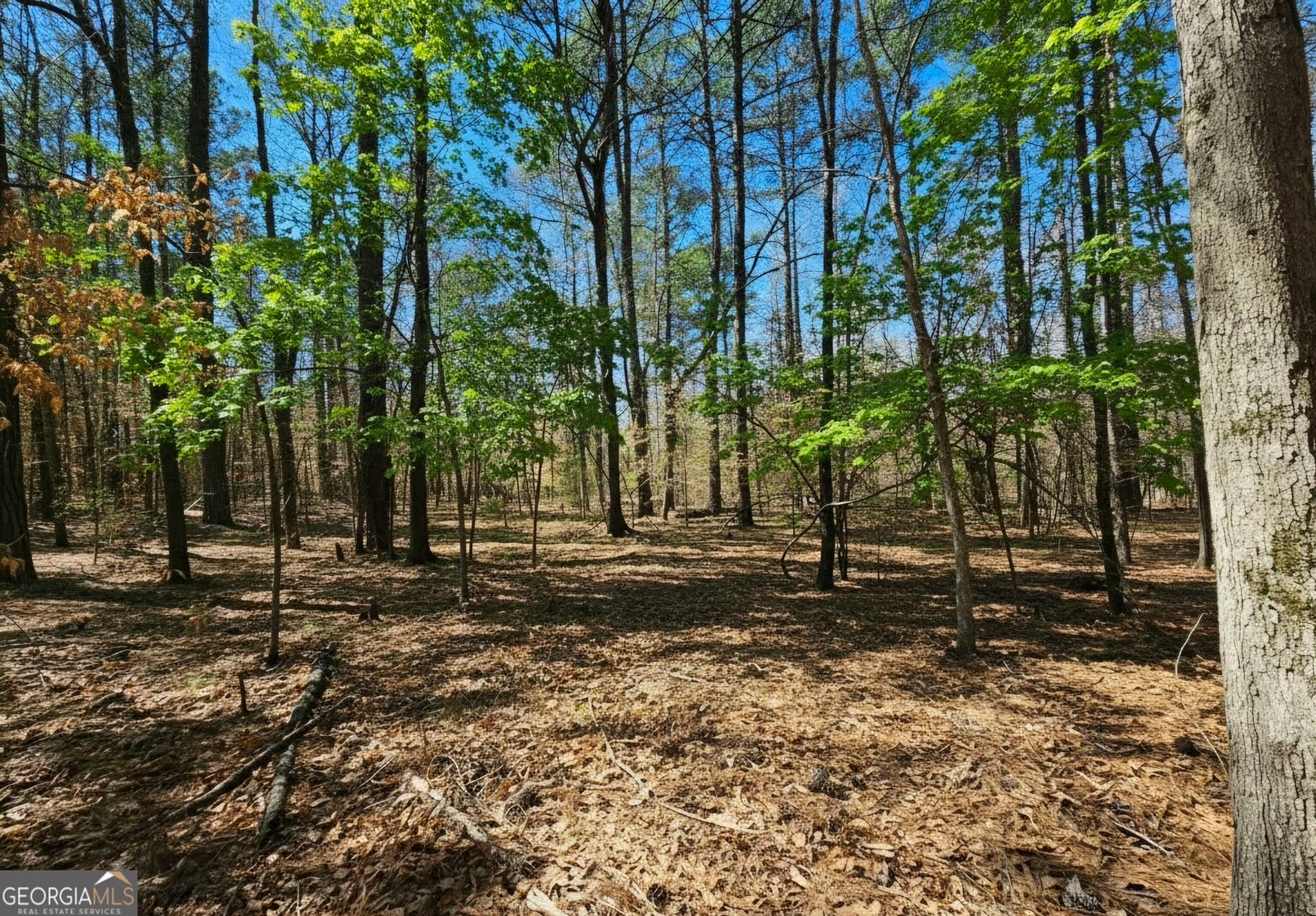 residential lot for sale at 0 River Shoals Court, Covington, GA 30016 — photo 6