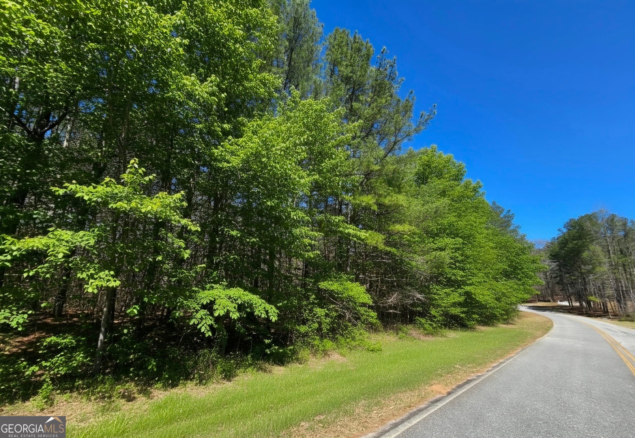 residential lot for sale at 0 River Shoals Court, Covington, GA 30016 — photo 7