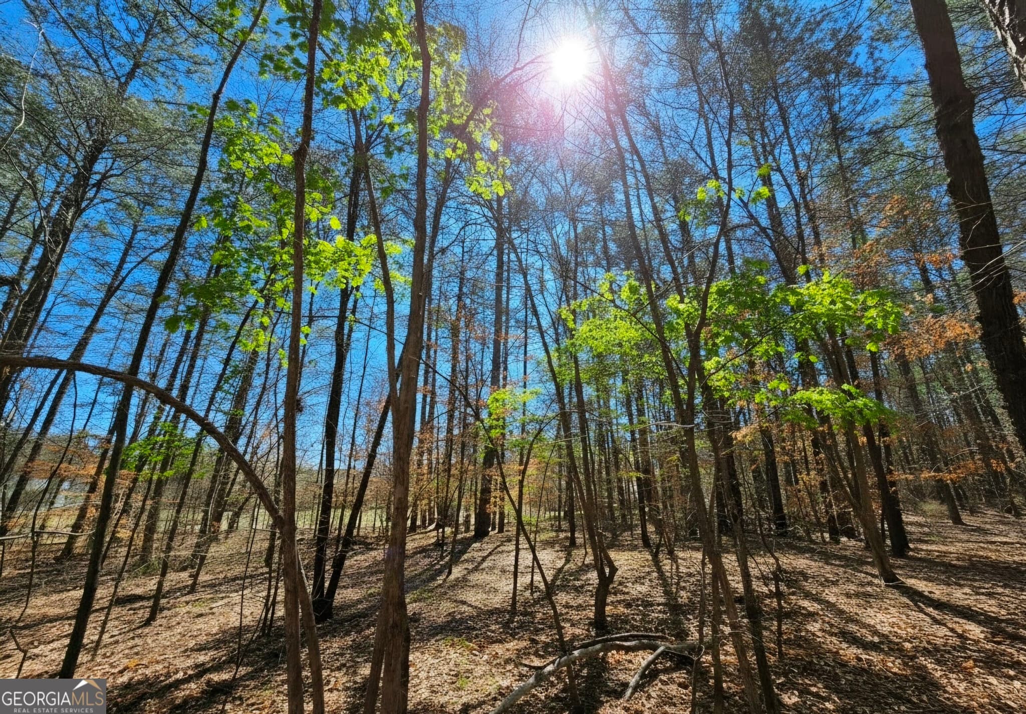 residential lot for sale at 0 River Shoals Court, Covington, GA 30016 — photo 5