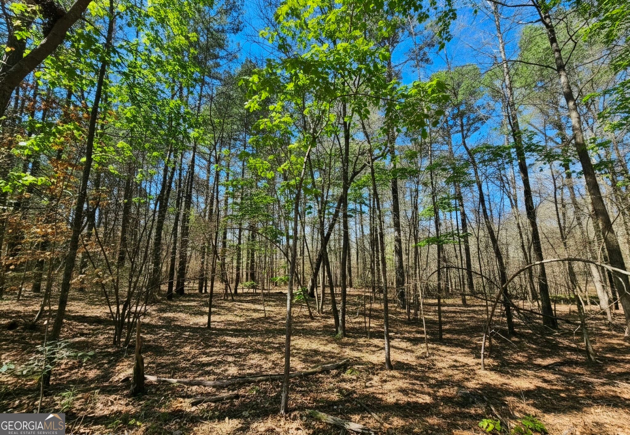 residential lot for sale at 0 River Shoals Court, Covington, GA 30016 — photo 9