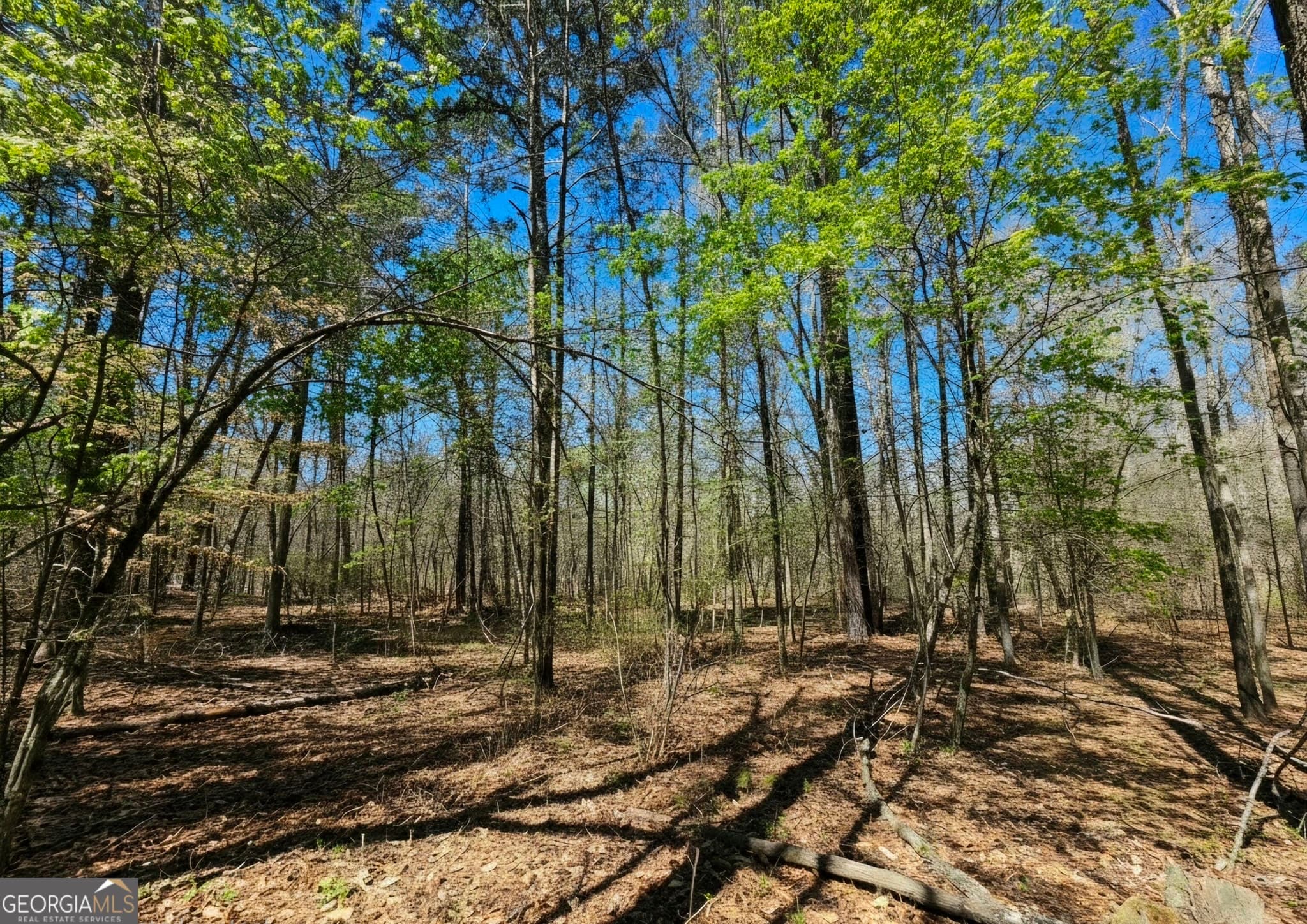 residential lot for sale at 0 River Shoals Court, Covington, GA 30016 — photo 4