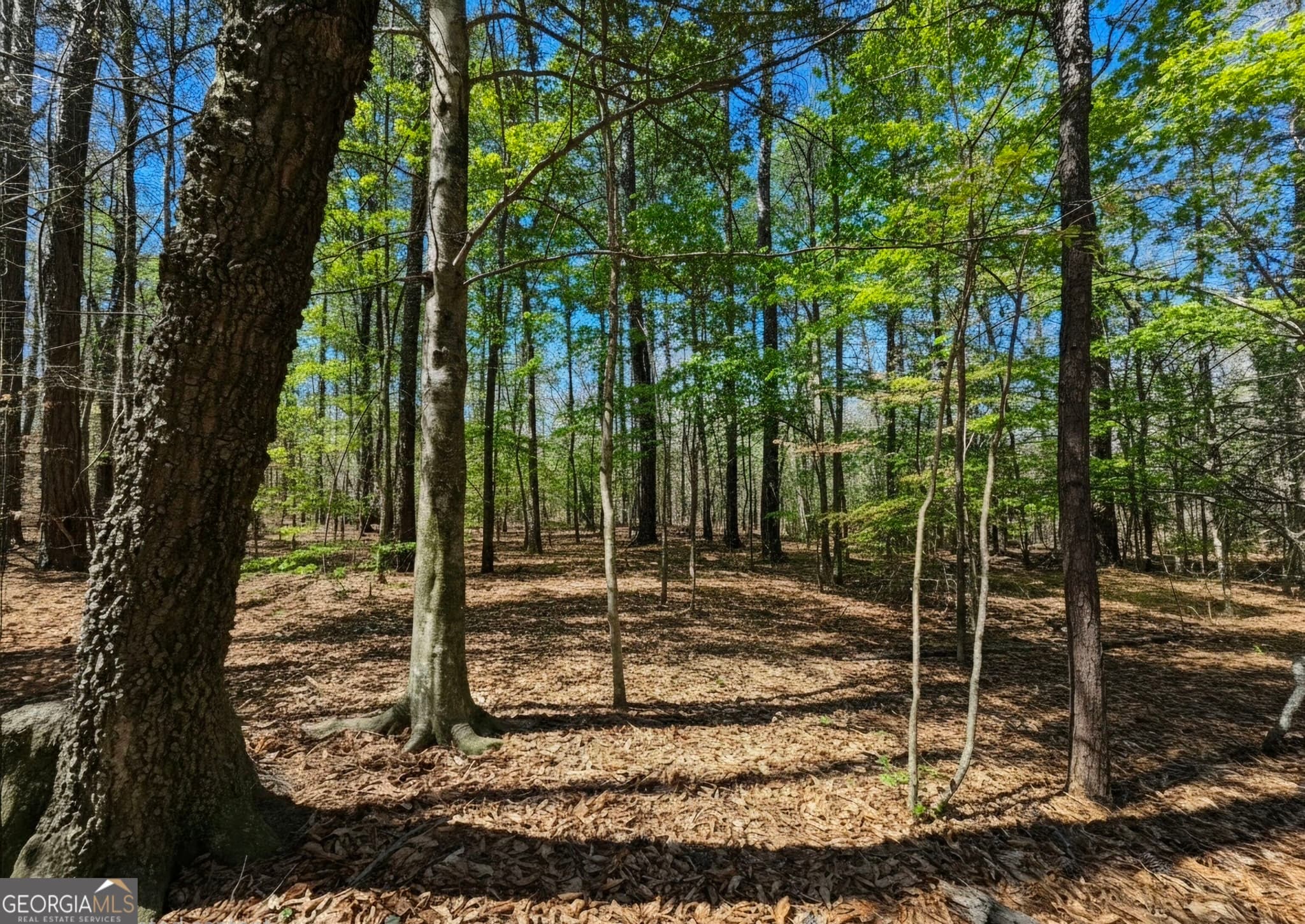 residential lot for sale at 0 River Shoals Court, Covington, GA 30016 — photo 8