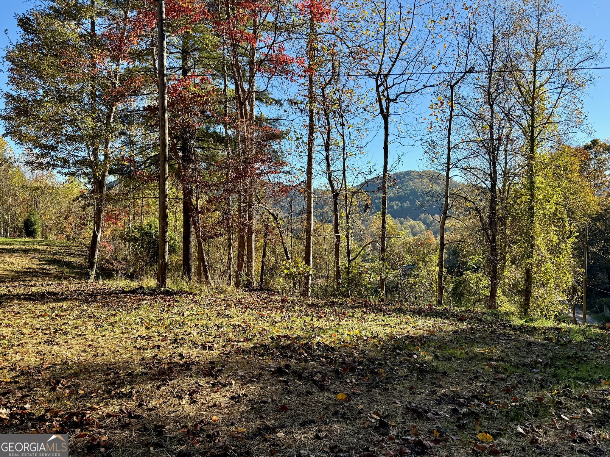 agriculture for sale at 0 Zoellner Lane, Dillard, GA 30537 — photo 2