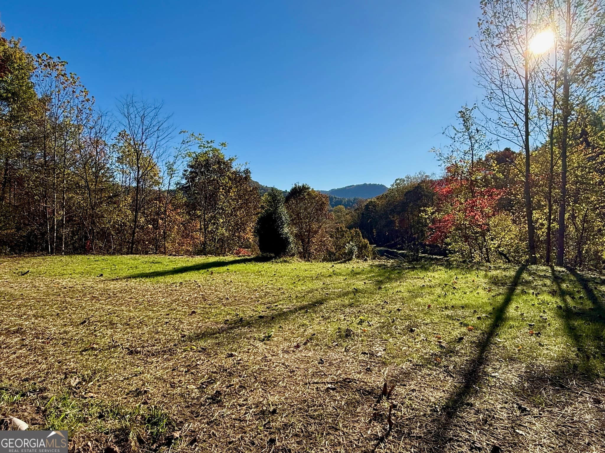agriculture for sale at 0 Zoellner Lane, Dillard, GA 30537 — photo 7