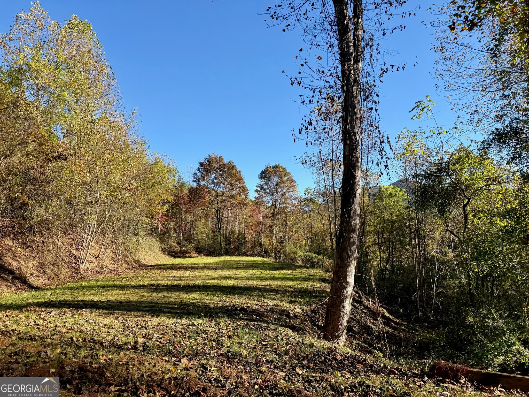 agriculture for sale at 0 Zoellner Lane, Dillard, GA 30537 — photo 3