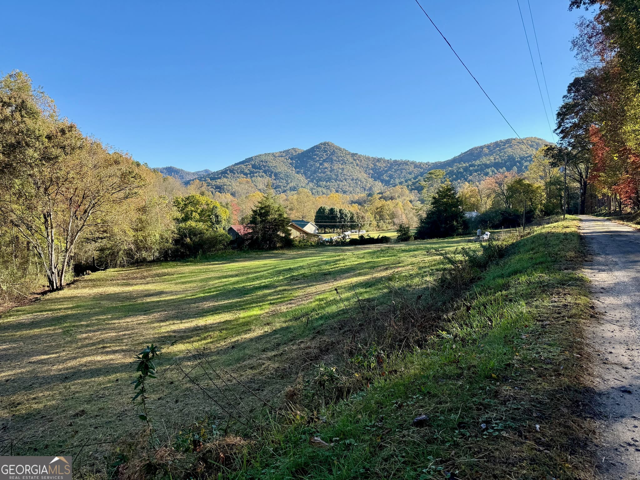 agriculture for sale at 0 Zoellner Lane, Dillard, GA 30537 — photo 1 of 14