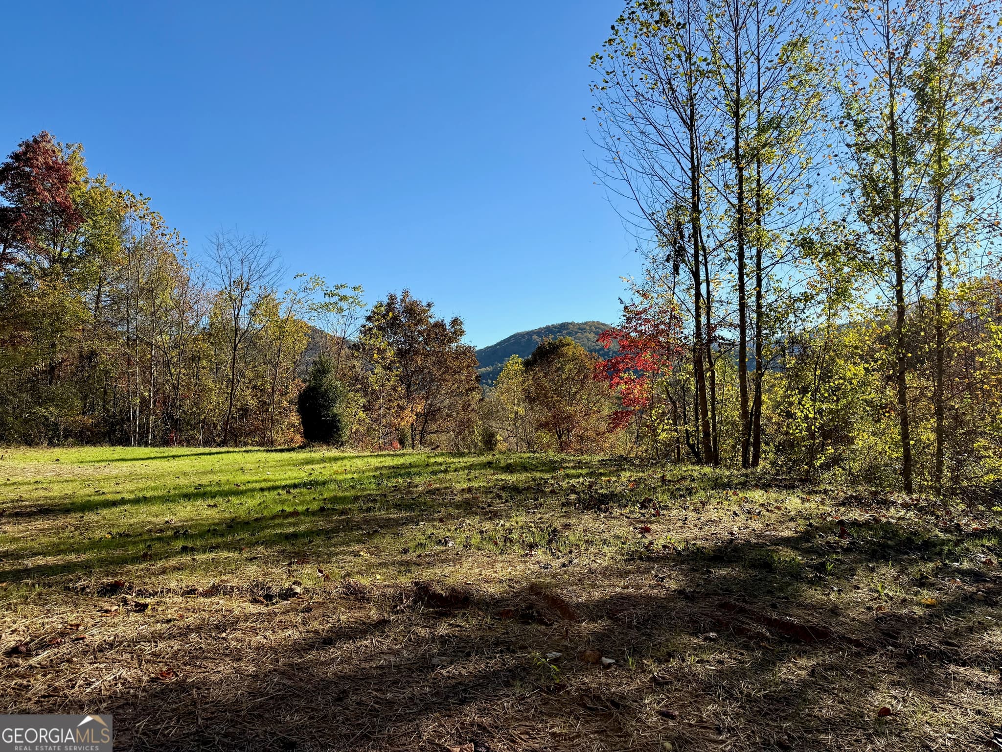 agriculture for sale at 0 Zoellner Lane, Dillard, GA 30537 — photo 5