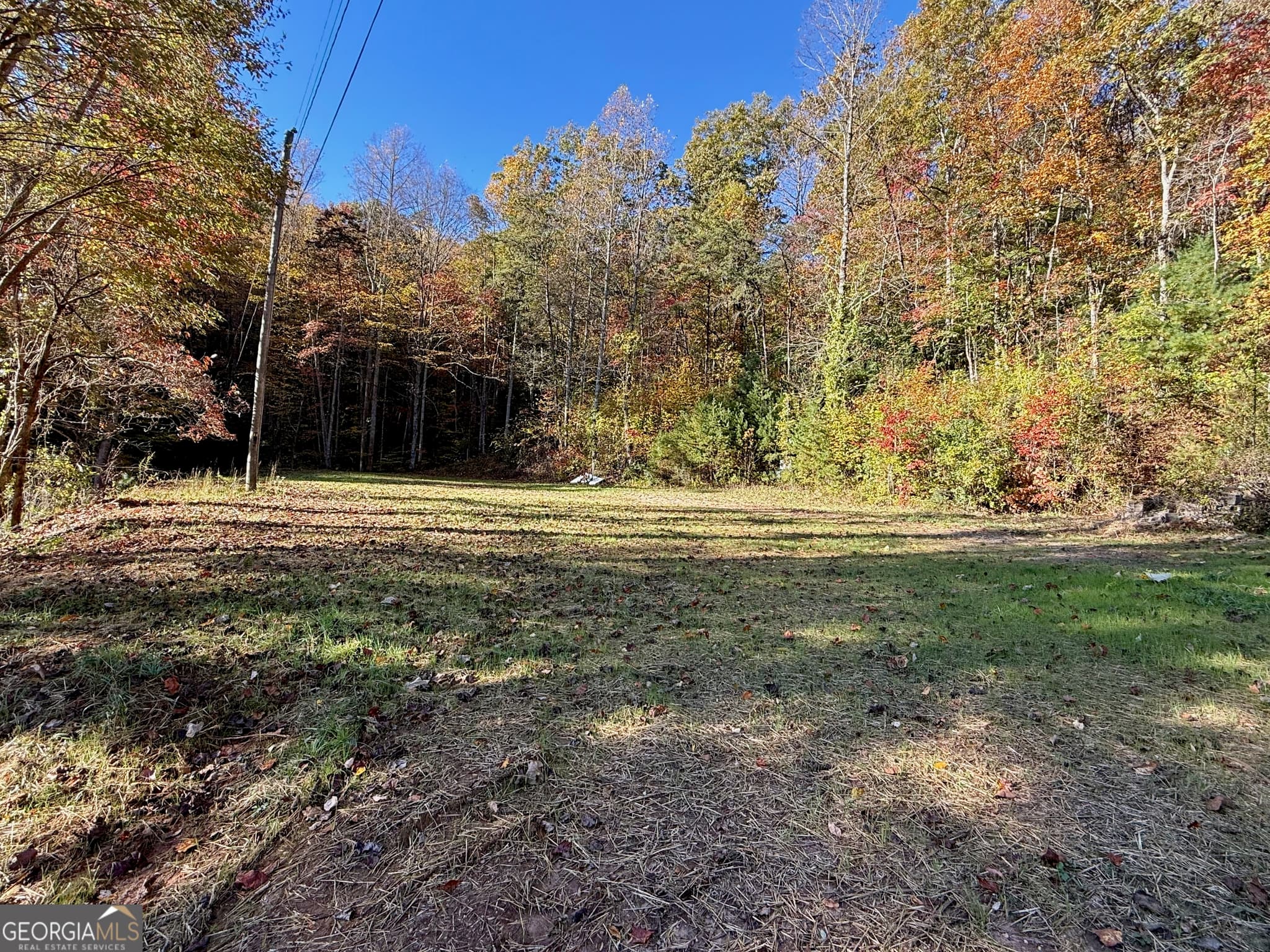 agriculture for sale at 0 Zoellner Lane, Dillard, GA 30537 — photo 9