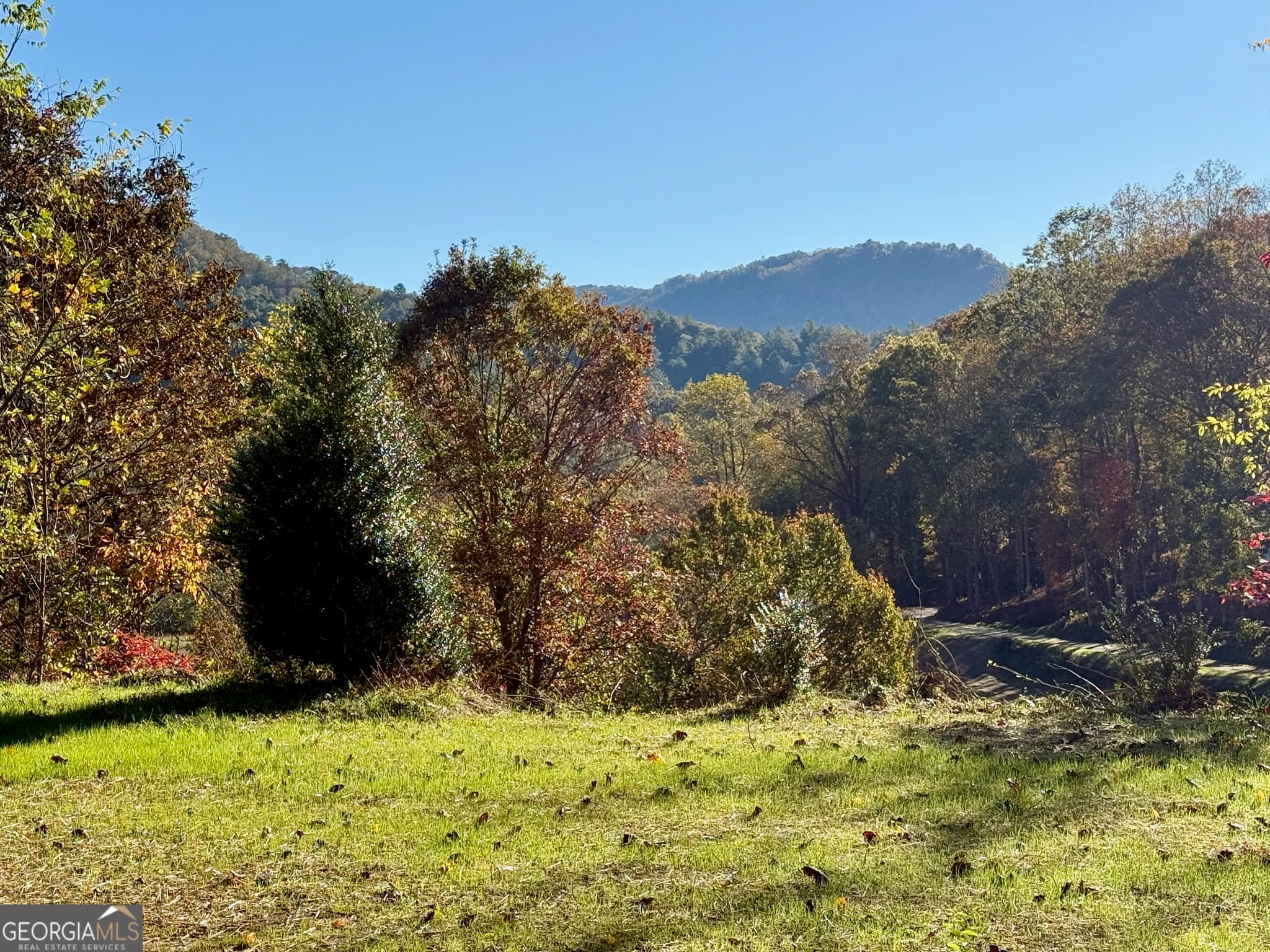agriculture for sale at 0 Zoellner Lane, Dillard, GA 30537 — photo 10