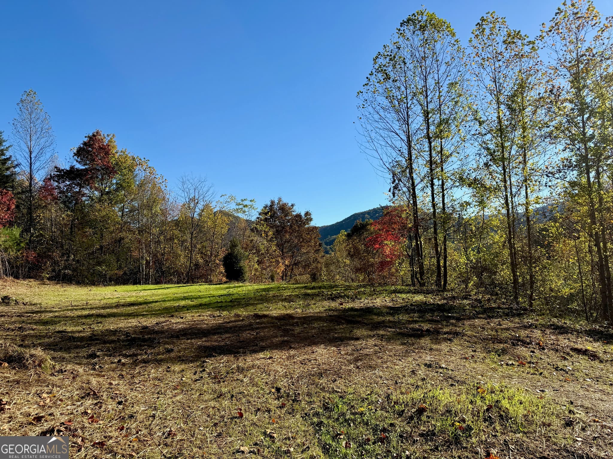 agriculture for sale at 0 Zoellner Lane, Dillard, GA 30537 — photo 4