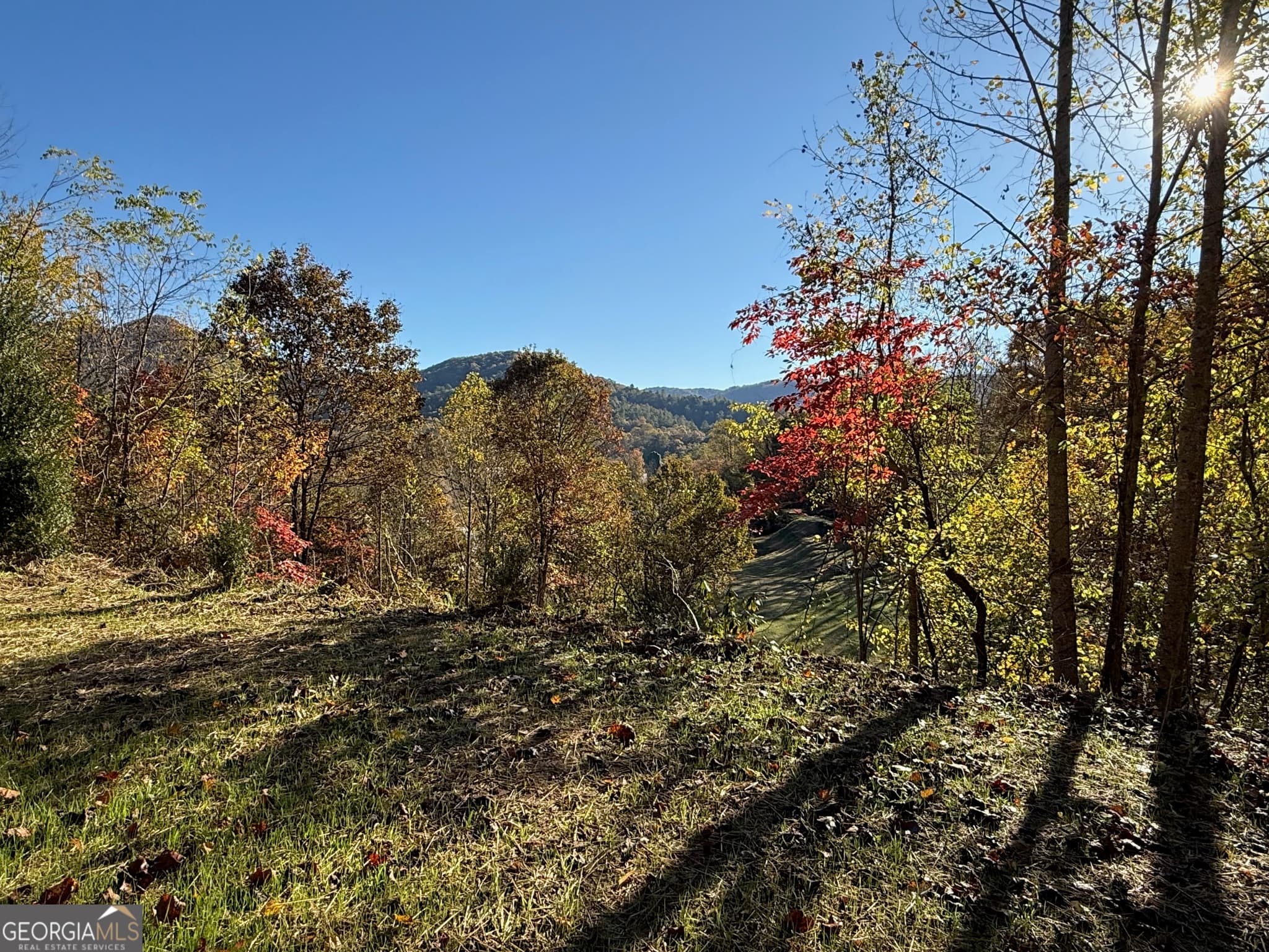 agriculture for sale at 0 Zoellner Lane, Dillard, GA 30537 — photo 8