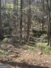 residential lot for sale at 11005 Regents Court, Hampton, GA 30228 — photo 2