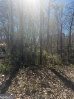 residential lot for sale at 11005 Regents Court, Hampton, GA 30228 — photo 3
