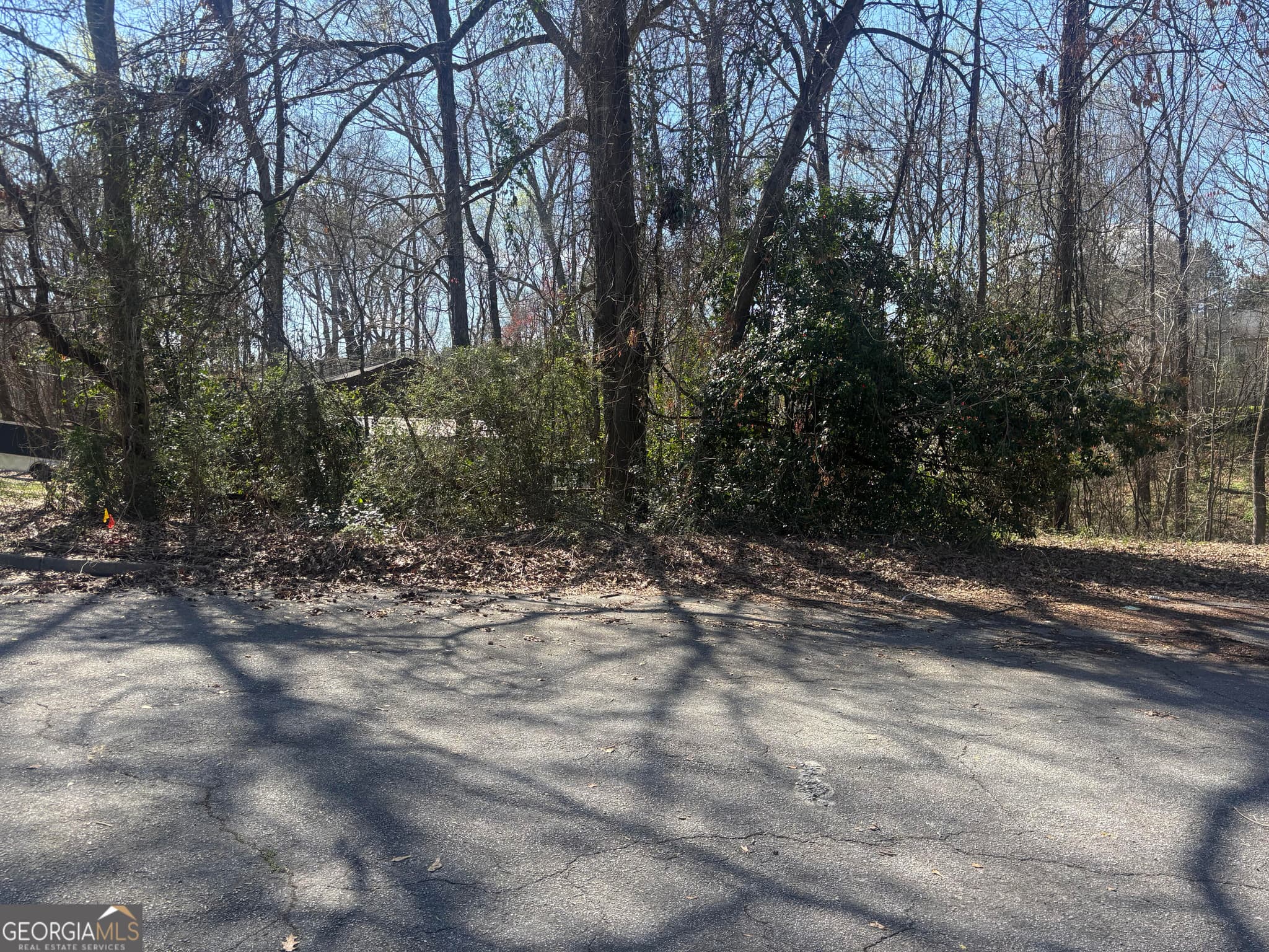 residential lot for sale at 11005 Regents Court, Hampton, GA 30228 — photo 1 of 5