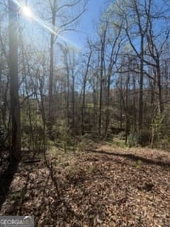 residential lot for sale at 11005 Regents Court, Hampton, GA 30228 — photo 5