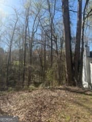 residential lot for sale at 11005 Regents Court, Hampton, GA 30228 — photo 4