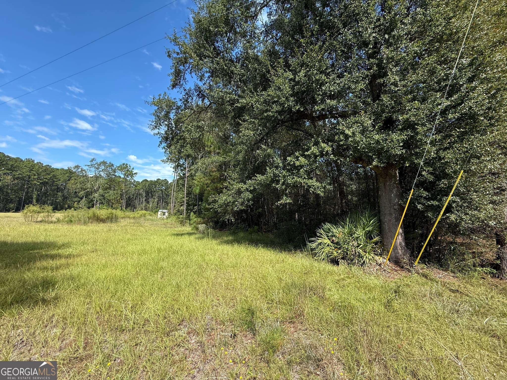 residential lot for sale at 124 Oak Street, Rincon, GA 31326 — photo 2