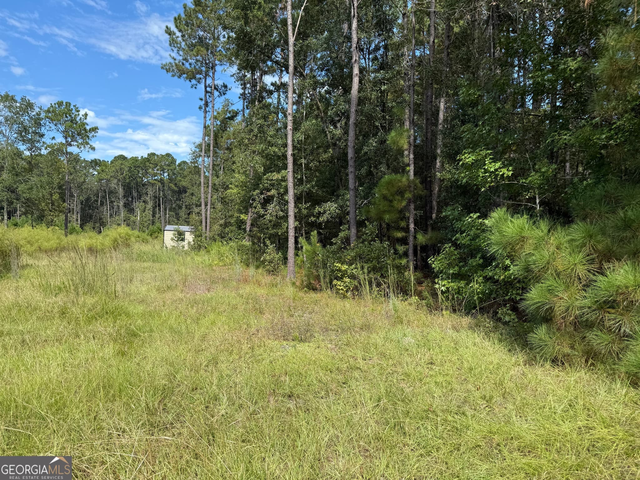 residential lot for sale at 124 Oak Street, Rincon, GA 31326 — photo 6