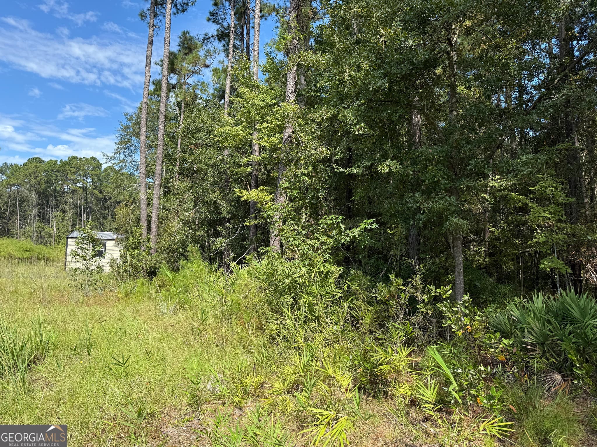 residential lot for sale at 124 Oak Street, Rincon, GA 31326 — photo 7