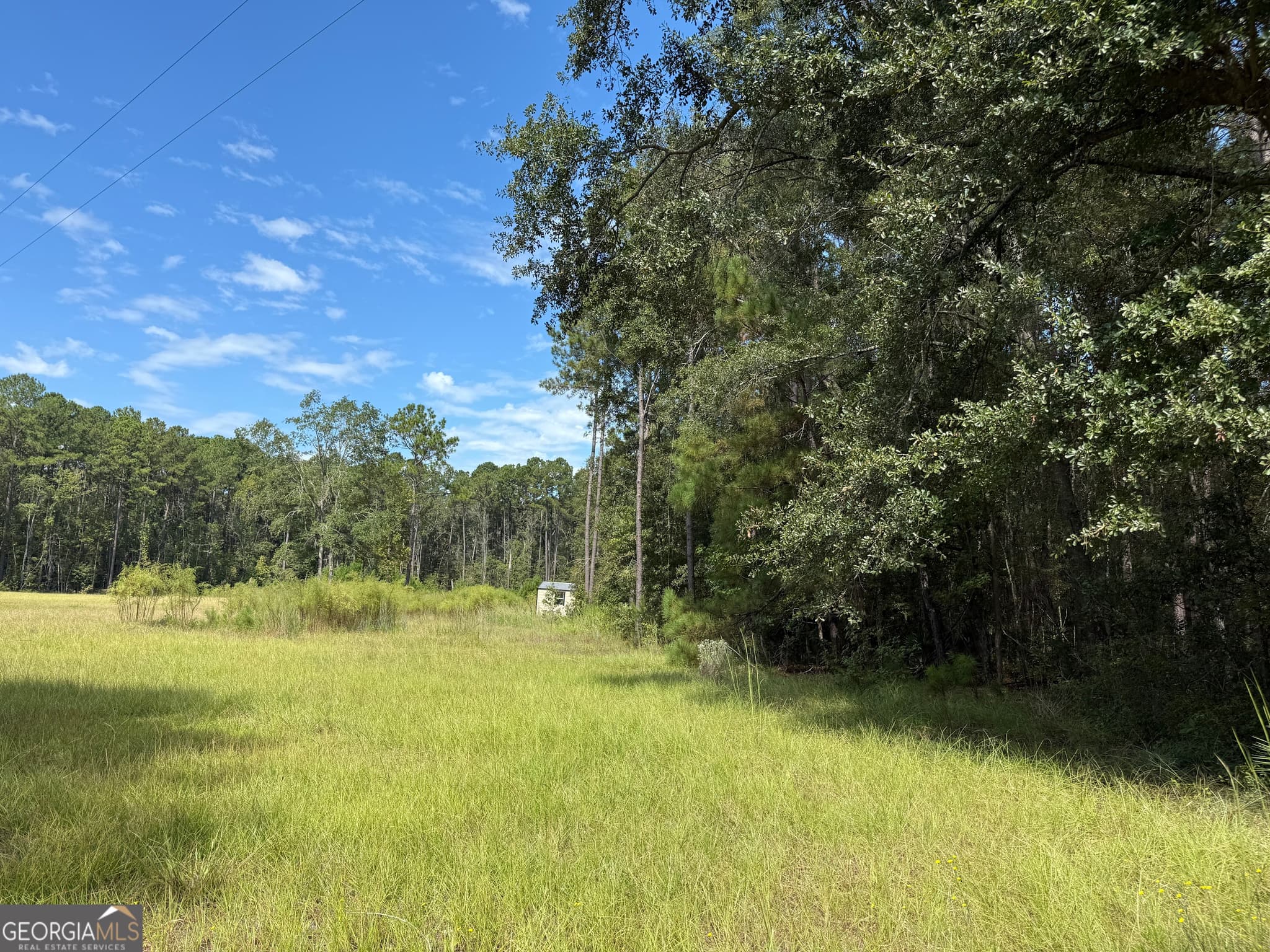 residential lot for sale at 124 Oak Street, Rincon, GA 31326 — photo 3