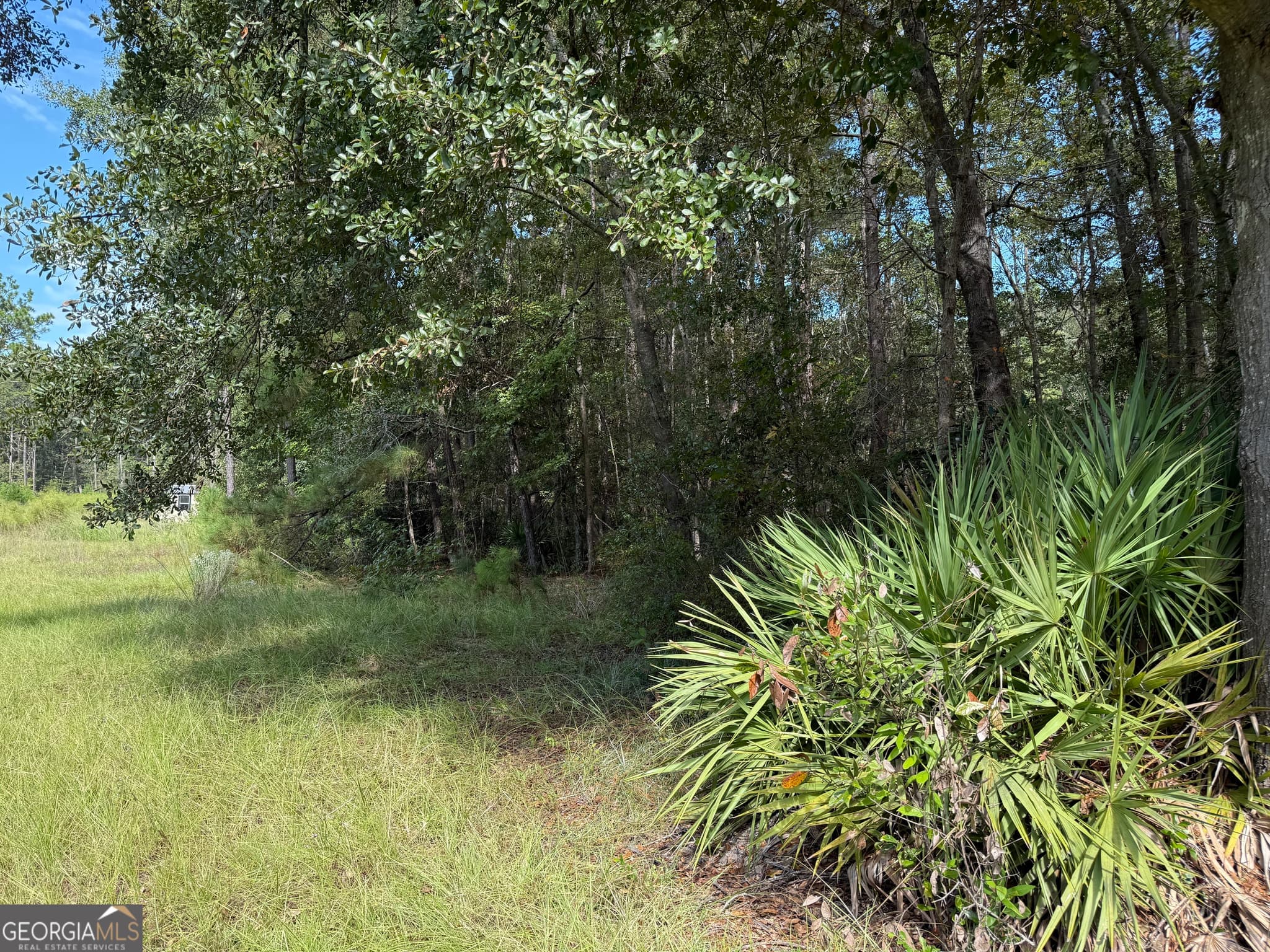 residential lot for sale at 124 Oak Street, Rincon, GA 31326 — photo 5