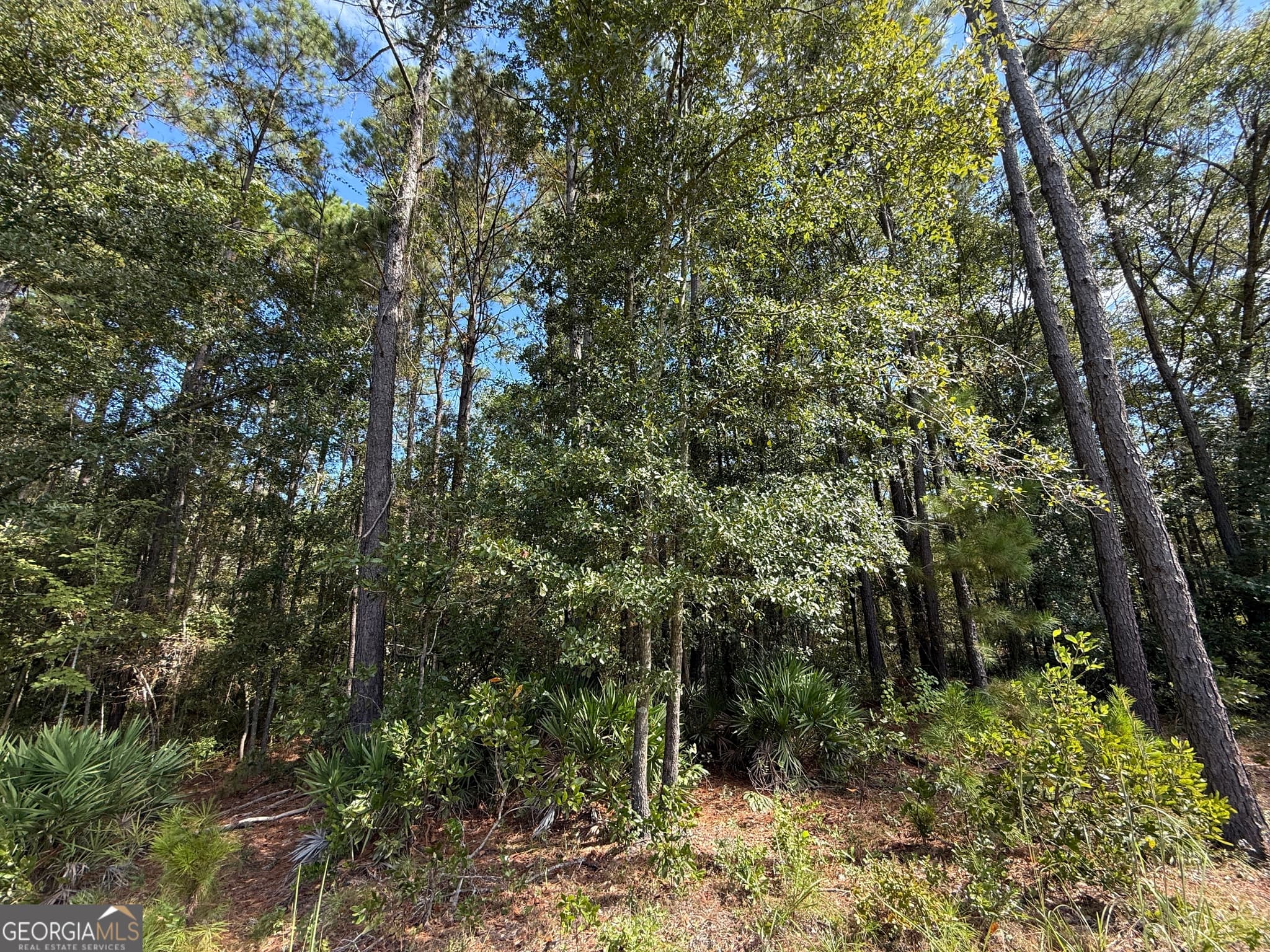 residential lot for sale at 124 Oak Street, Rincon, GA 31326 — photo 9