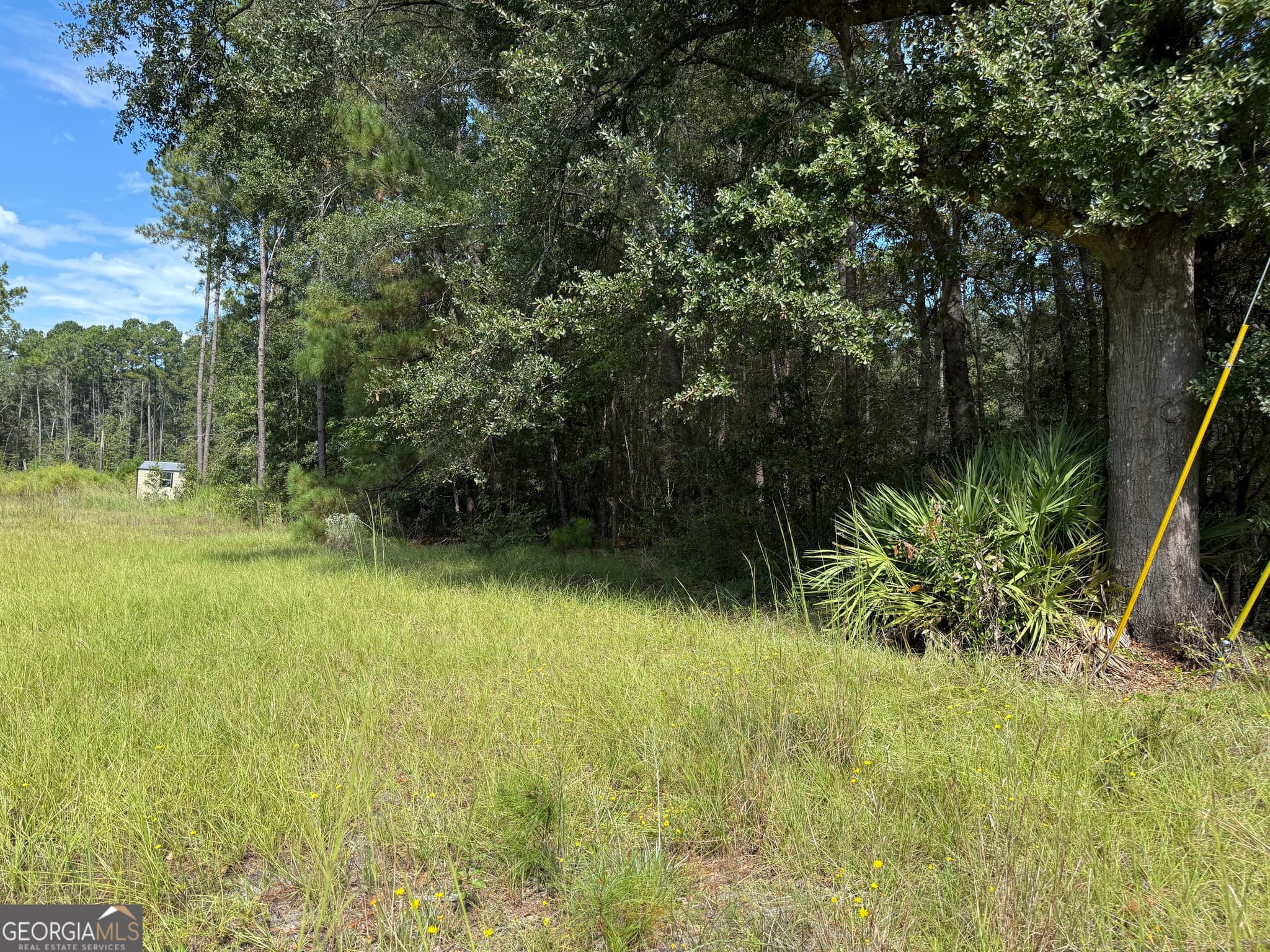 residential lot for sale at 124 Oak Street, Rincon, GA 31326 — photo 4