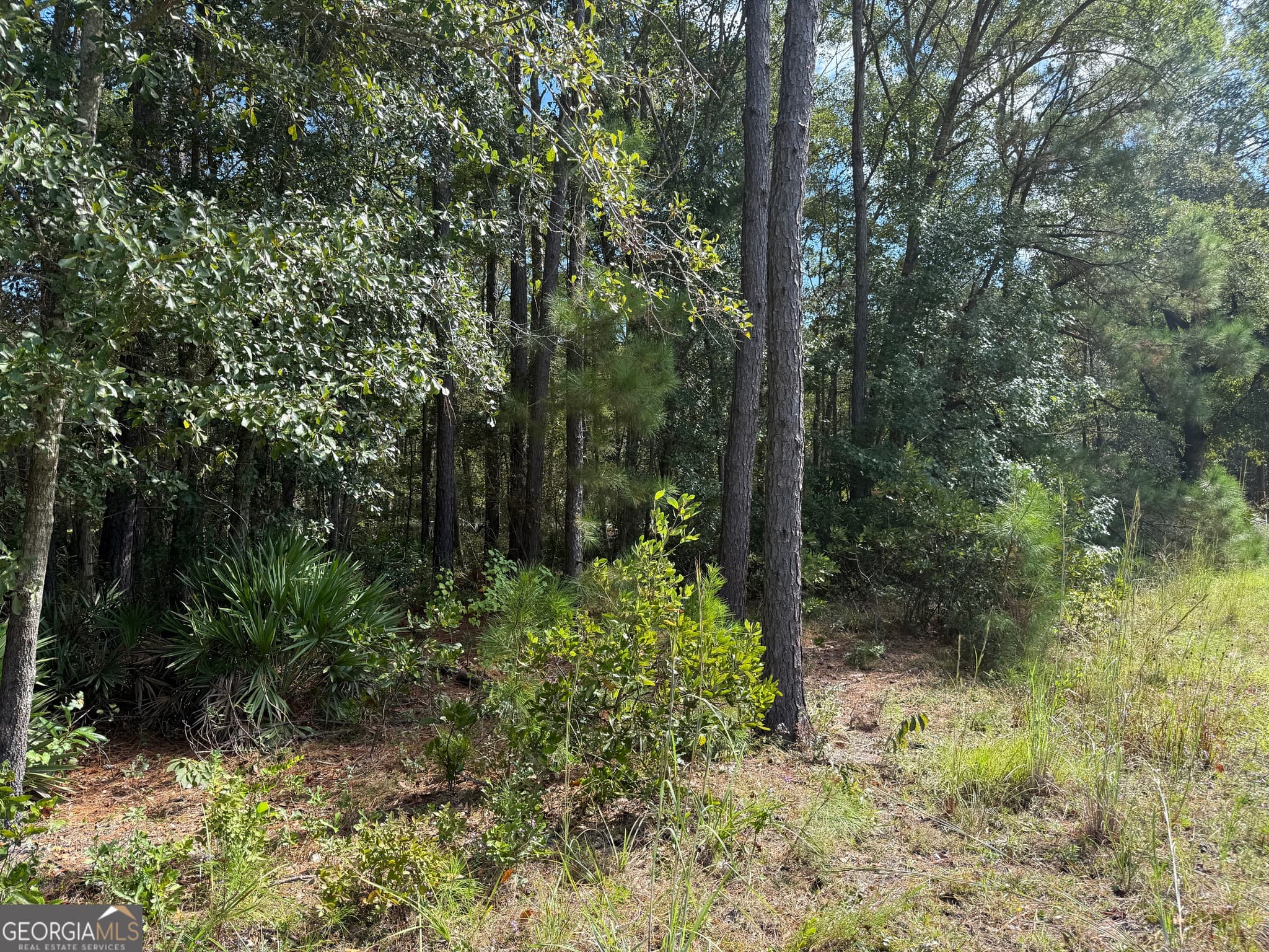 residential lot for sale at 124 Oak Street, Rincon, GA 31326 — photo 8