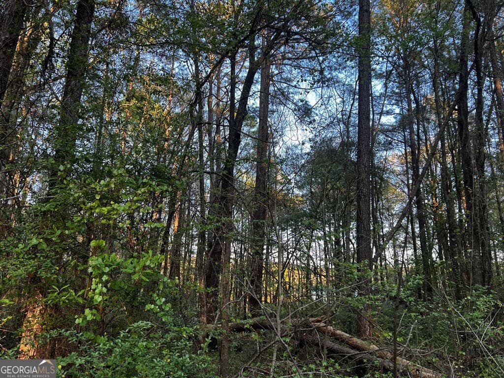 residential lot for sale at 203 View Pointe Lane, Lagrange, GA 30241 — photo 2