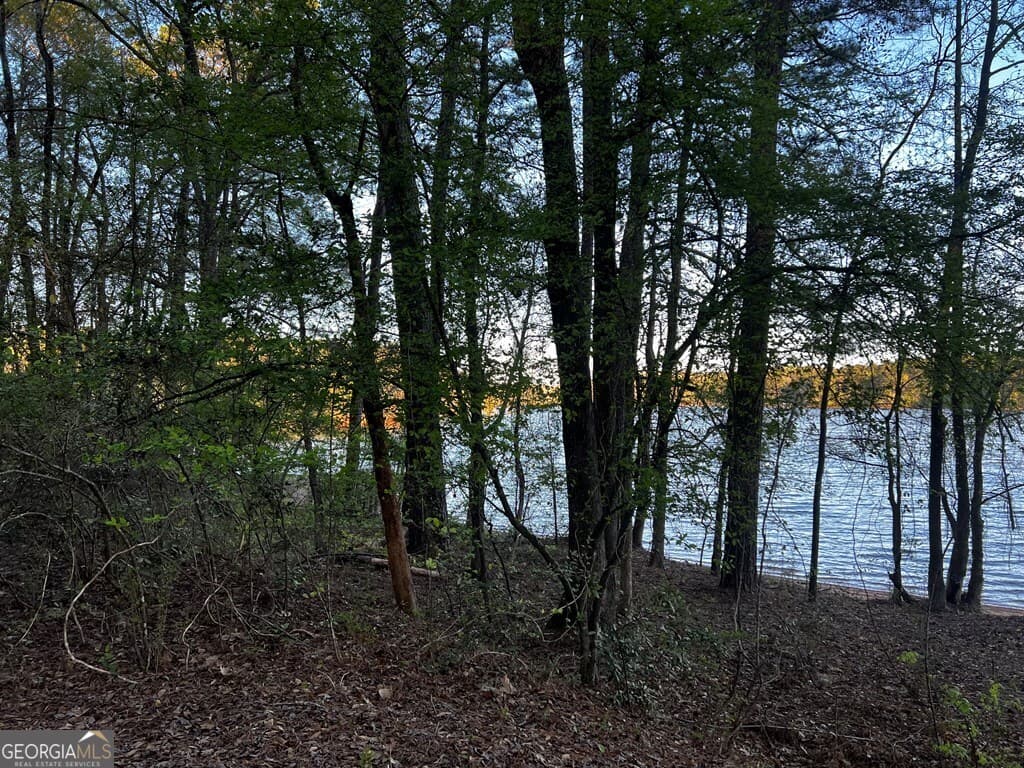 residential lot for sale at 203 View Pointe Lane, Lagrange, GA 30241 — photo 6