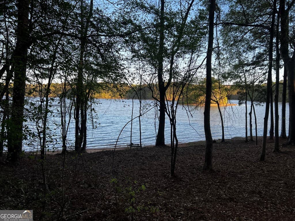 residential lot for sale at 203 View Pointe Lane, Lagrange, GA 30241 — photo 7