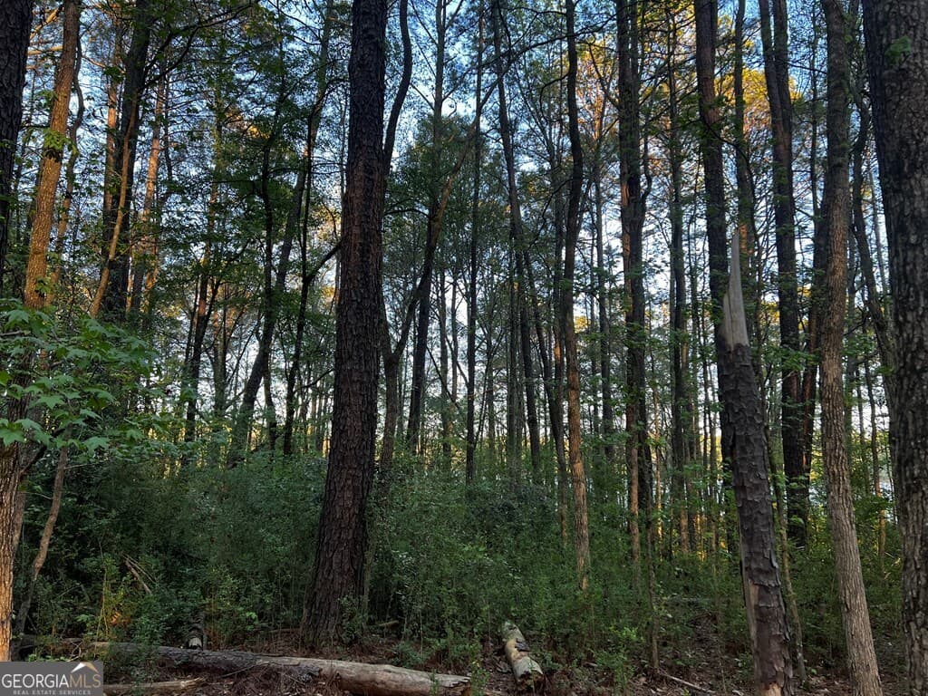 residential lot for sale at 203 View Pointe Lane, Lagrange, GA 30241 — photo 3