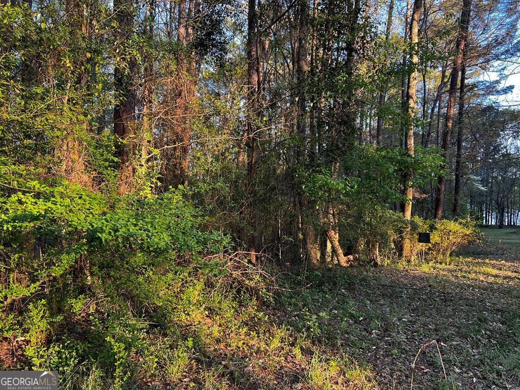 residential lot for sale at 203 View Pointe Lane, Lagrange, GA 30241 — photo 1 of 16