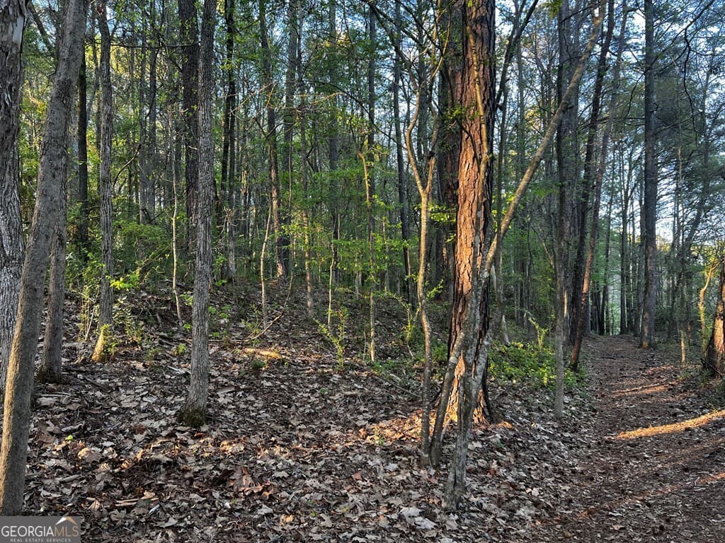 residential lot for sale at 203 View Pointe Lane, Lagrange, GA 30241 — photo 5