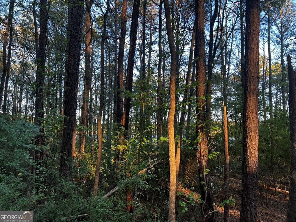 residential lot for sale at 203 View Pointe Lane, Lagrange, GA 30241 — photo 4